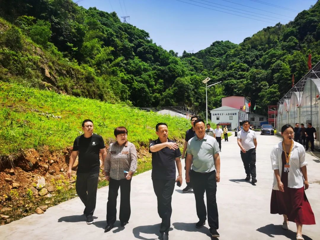 大溶溪社区,安化县科技馆,湖南博瑞中药饮片有限公司和安化中源农业