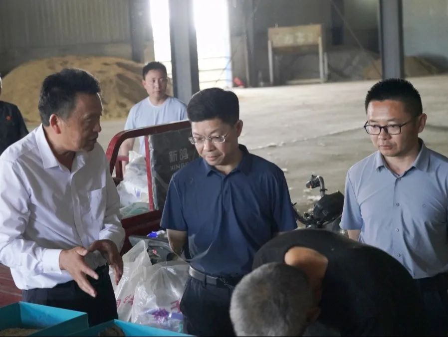 基地,牛棚等地,详细了解了兴豫农机合作社当前生产经营现状和发展规划