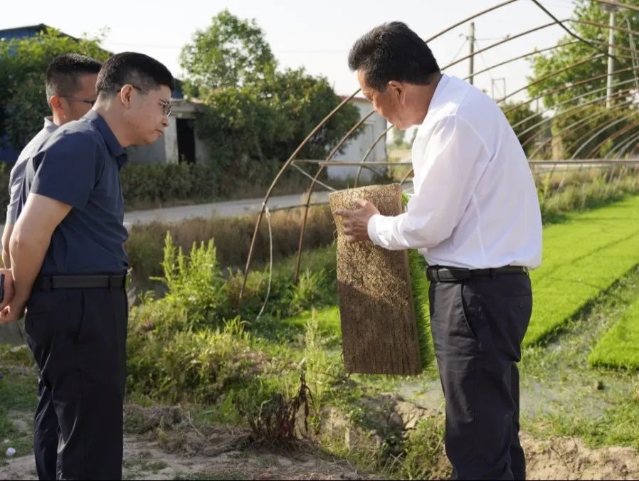 基地,牛棚等地,详细了解了兴豫农机合作社当前生产经营现状和发展规划