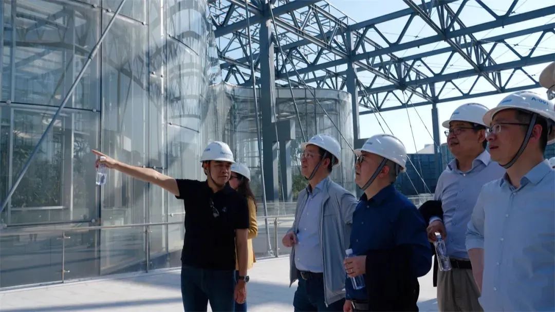 世博文化公园双子山项目由华建集团总控,上海院作为该工程项目的牵头