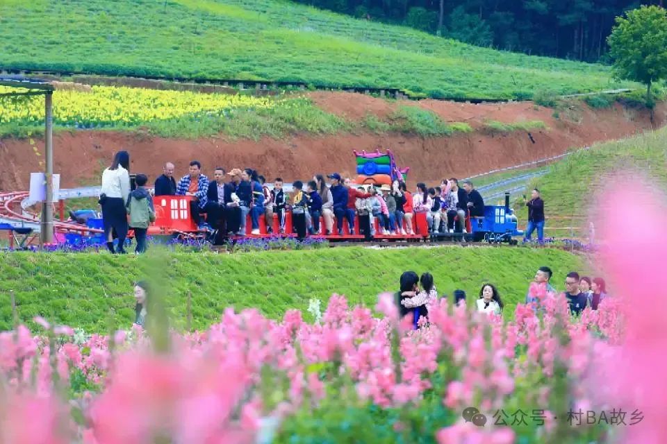 优惠 | 畅游麻江!门票全免!