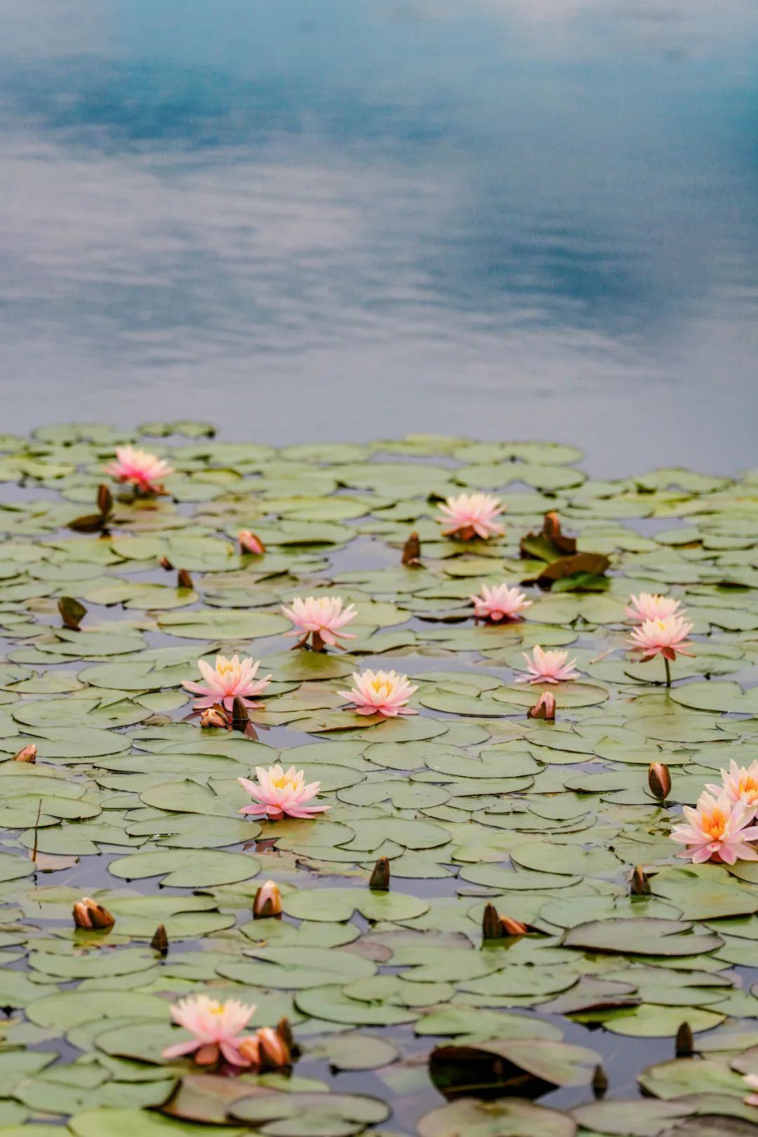 这些人可申领→●价格大跳水!不用犹豫了!
