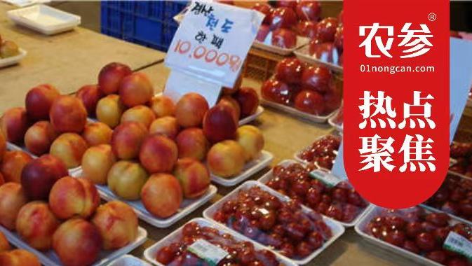 韩国苹果价格全球第一，换个角度看“水果焦虑”