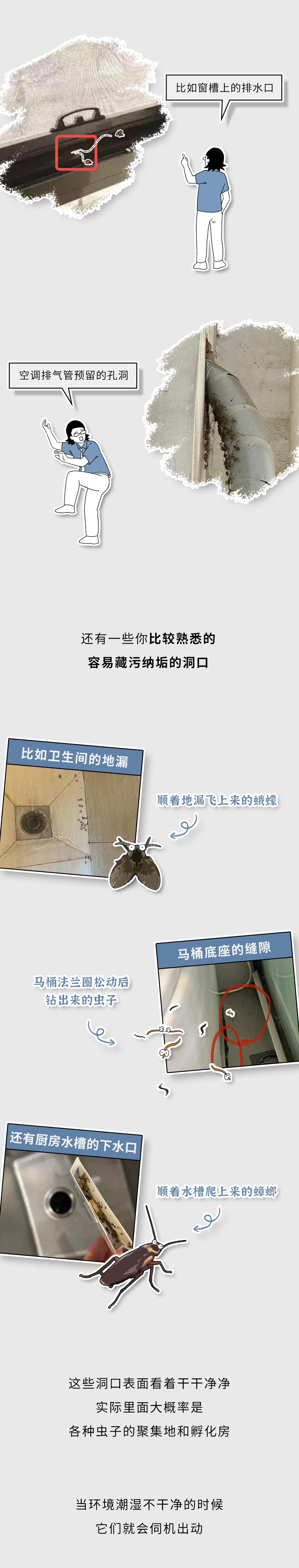 【早读】家里这些虫子都哪儿来的?怎么把它们都消灭啊