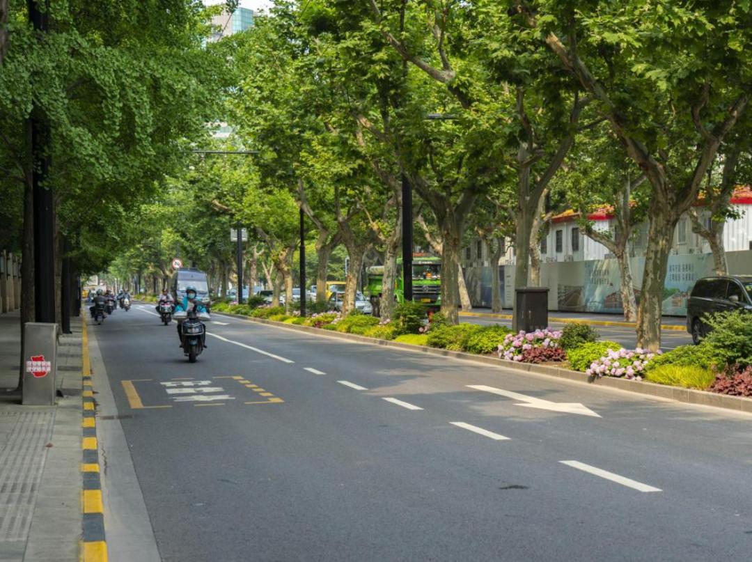 "美丽上海"从漫步开始 | 惠南镇民乐大居,陆家嘴水环(张家浜两岸)