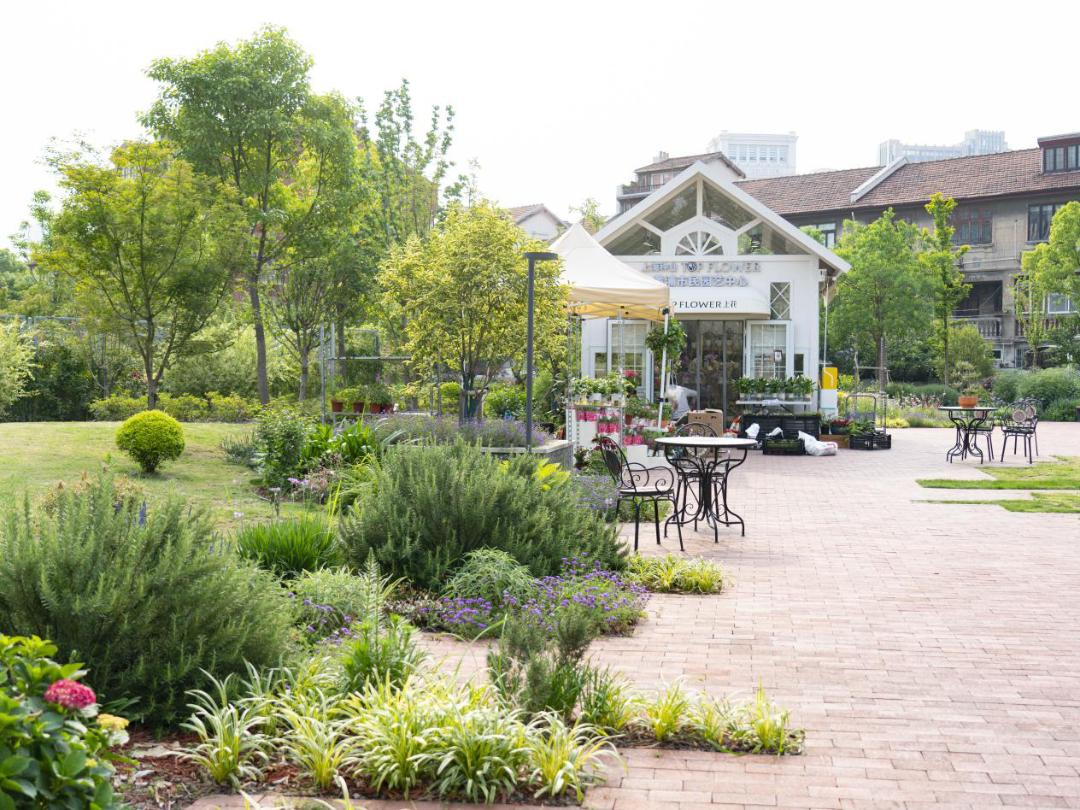 "美丽上海"从漫步开始 | 惠南镇民乐大居,陆家嘴水环(张家浜两岸)