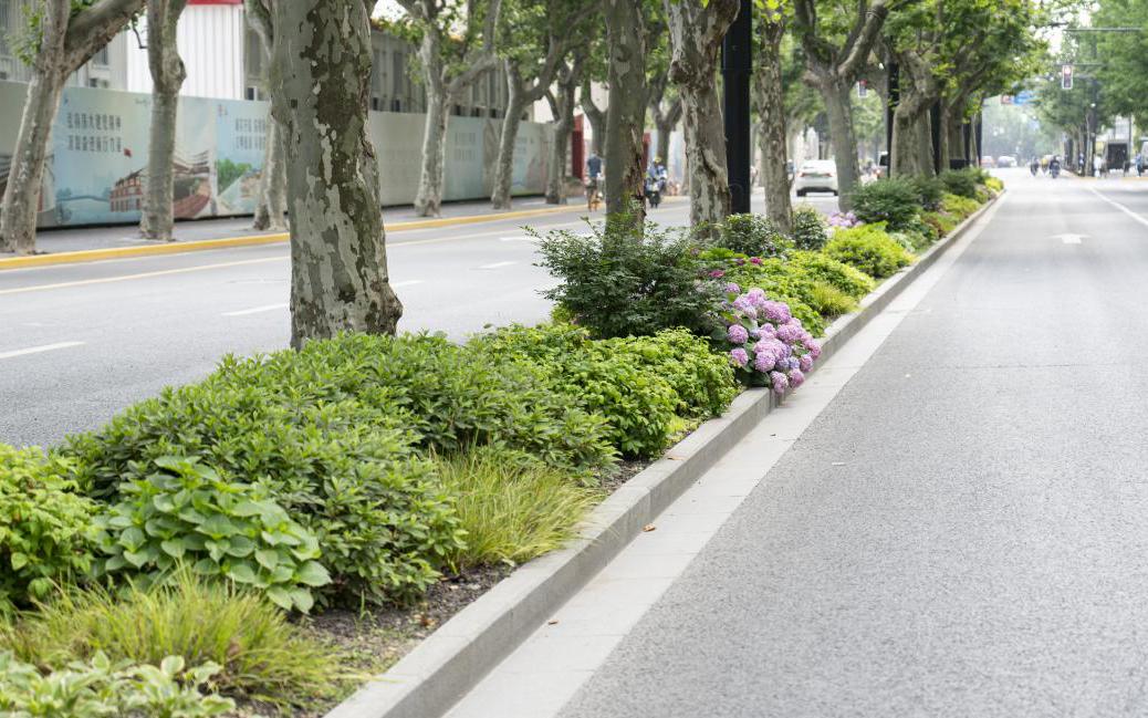 "美丽上海"从漫步开始 | 惠南镇民乐大居,陆家嘴水环(张家浜两岸)