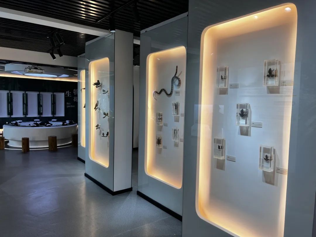 你想逛的这些"馆子"!建德人家门口就有!