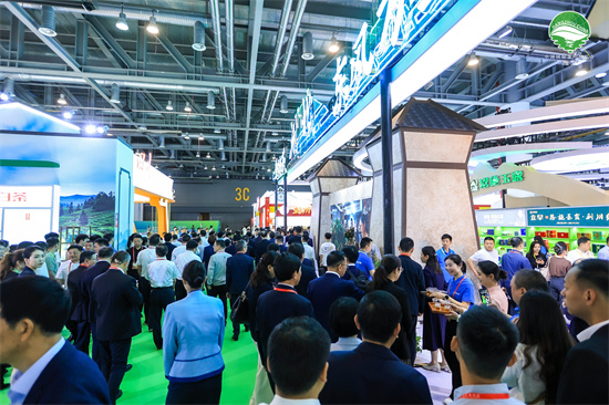 不出杭州喝遍天下茶 为期五天的第六届"茶博会"正式开展