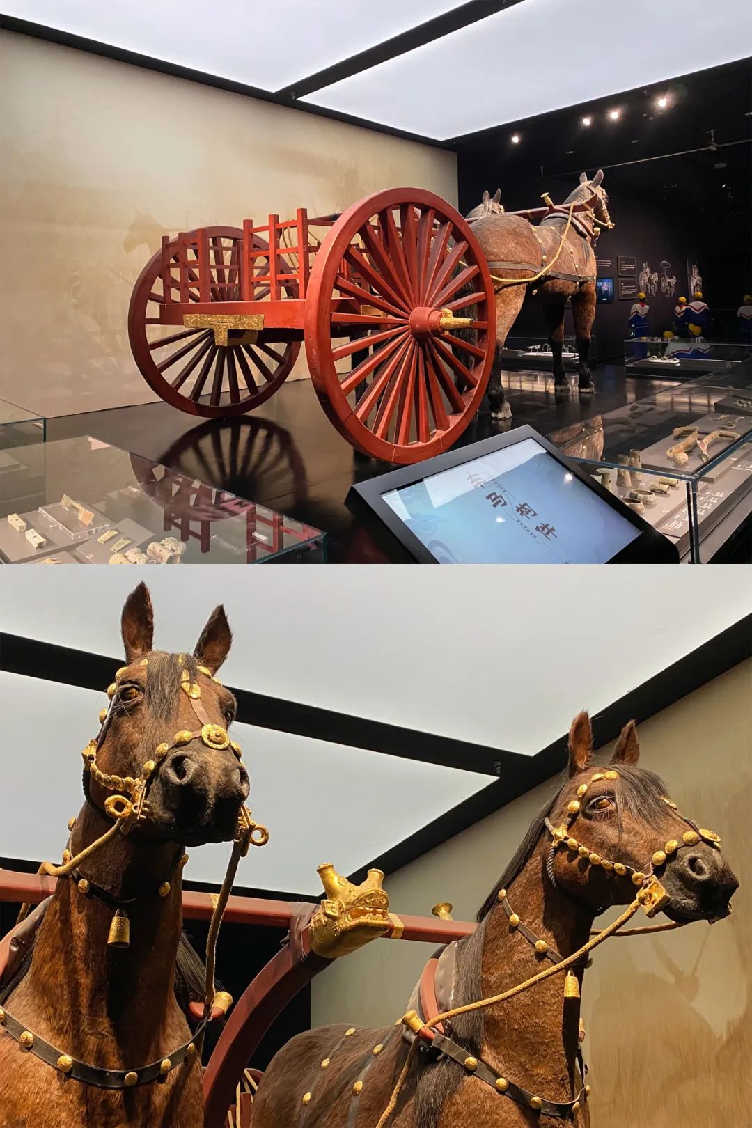 3000年前的中国首都,长什么样_澎湃号·湃客_澎湃新闻-the paper