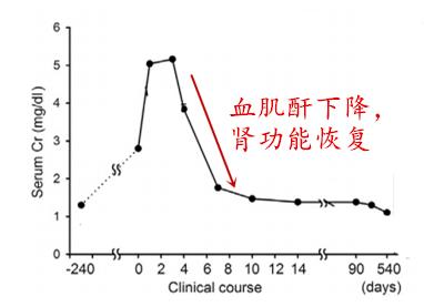 肌酐从115涨到445,只因夏日一件常见小事