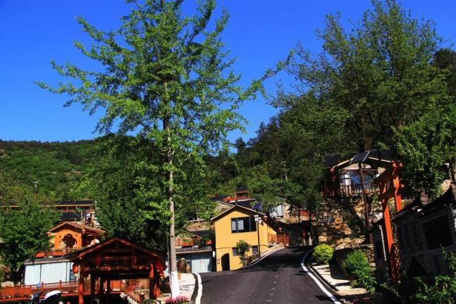 中国旅游日遇上520告白日,浪漫麻城两日游,走起