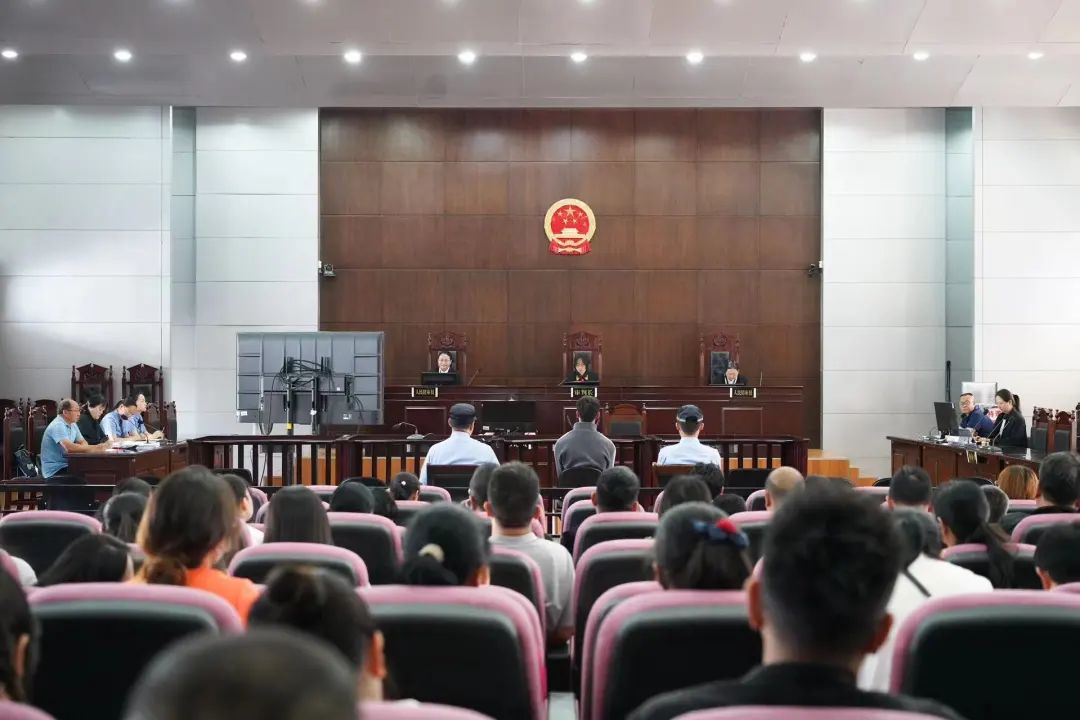 学条例 守党纪丨从审理现场走进"法纪课堂"