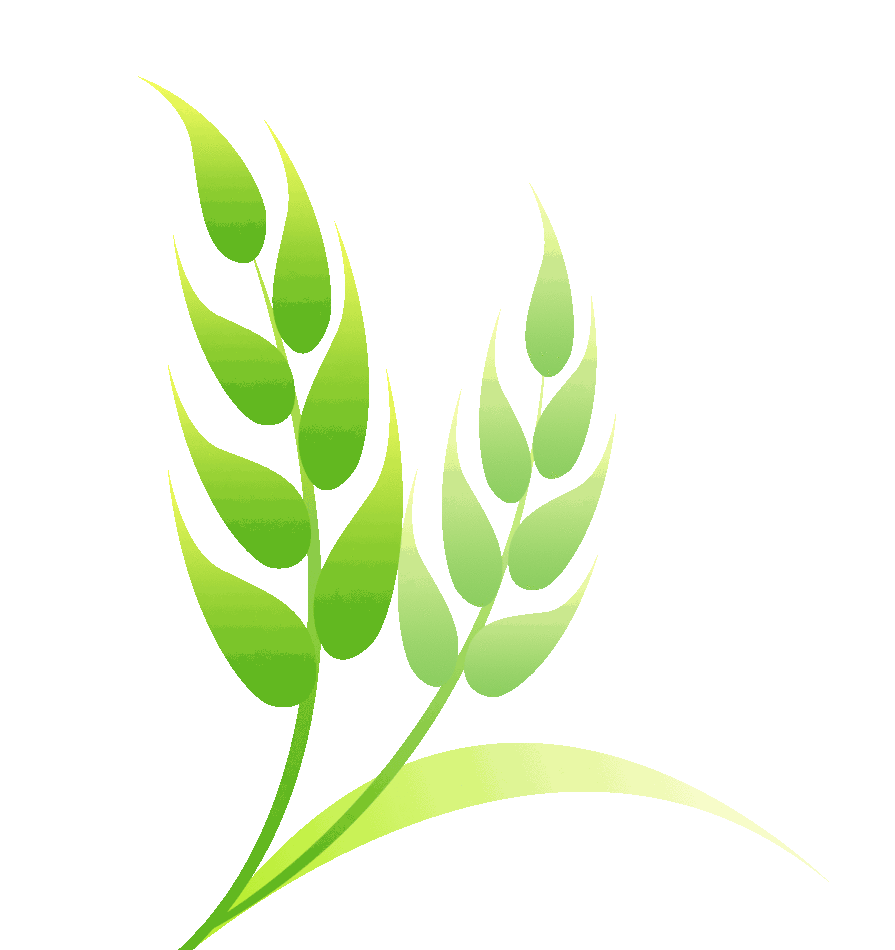 腊树镇妇联:小手拉大手 平安齐分享