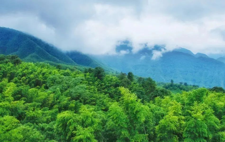 乡游黔中 | 赤水市丙安村：感悟红色传奇，乐享山水古镇