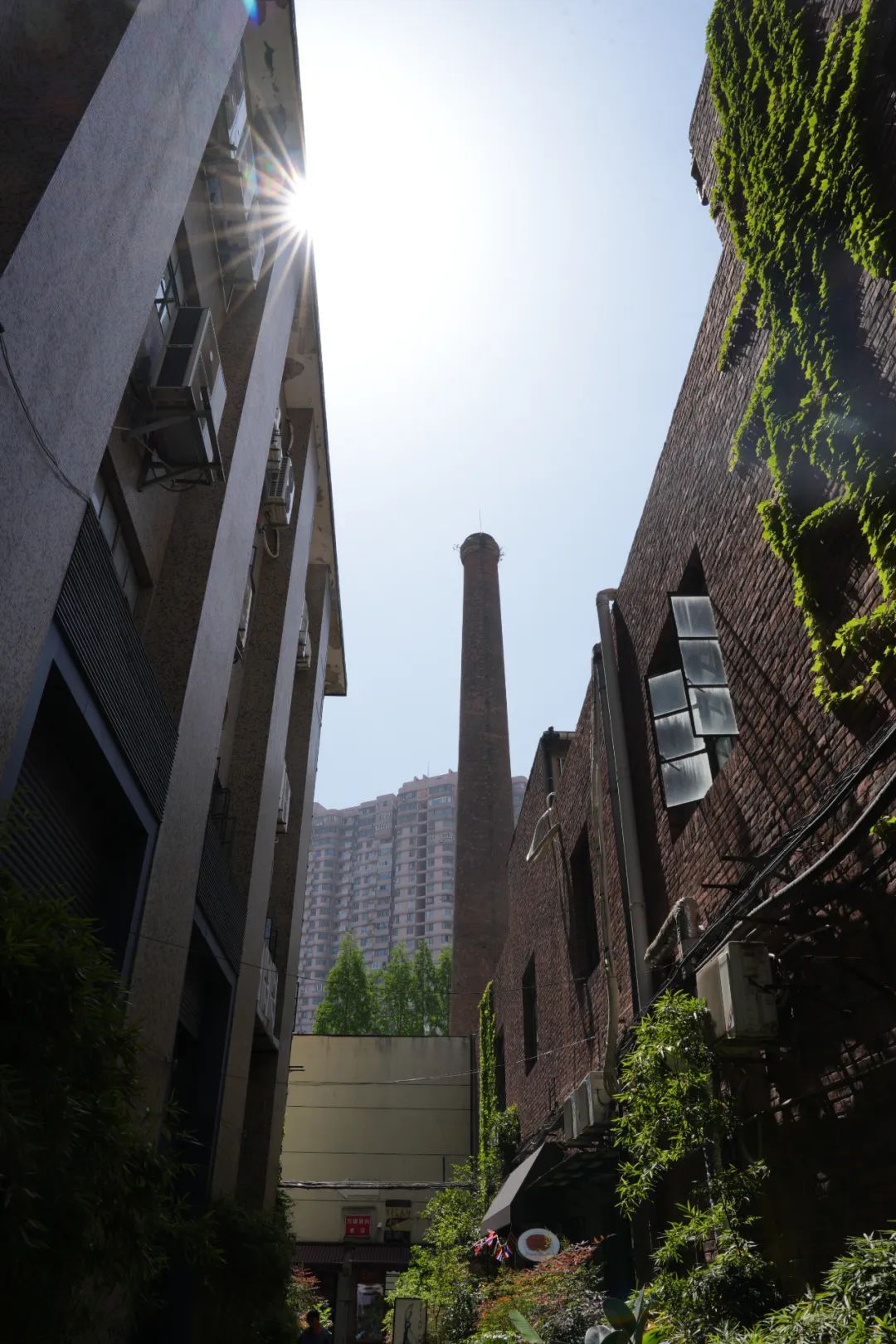 m50城市更新:"家底"老建筑变成"网红"新场景_澎湃