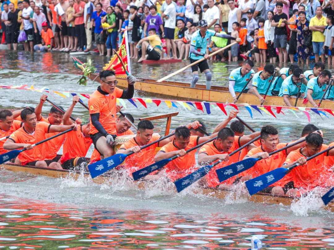 肇庆街坊 两场"家门口"的龙舟赛来了!时间,地点