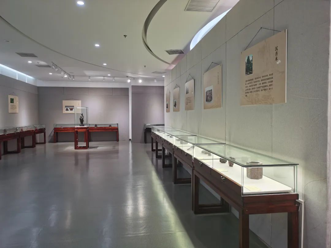 金山区漕泾小学 学生 章昊在金山区博物馆,我看见了许多古代的文物