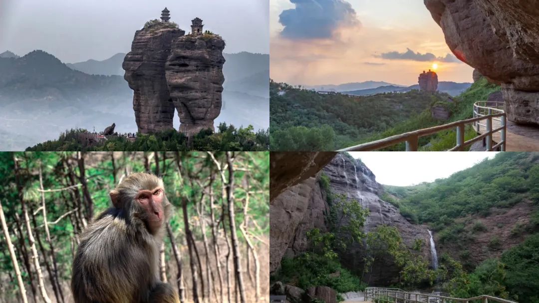 双塔山风景区宠粉啦!