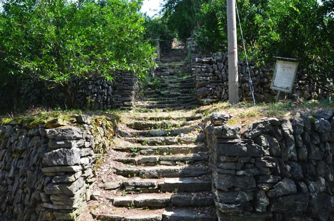 旅游广电体育局:0737-7224810百花寨:15273158564青云洞·云上九歌