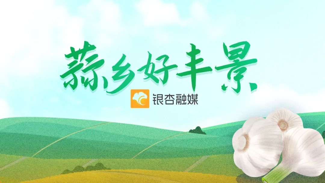 蒜乡好丰景|“晒蒜神器”成爆款