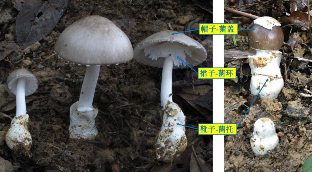 厦门人不要买!不要吃!紧急提醒!