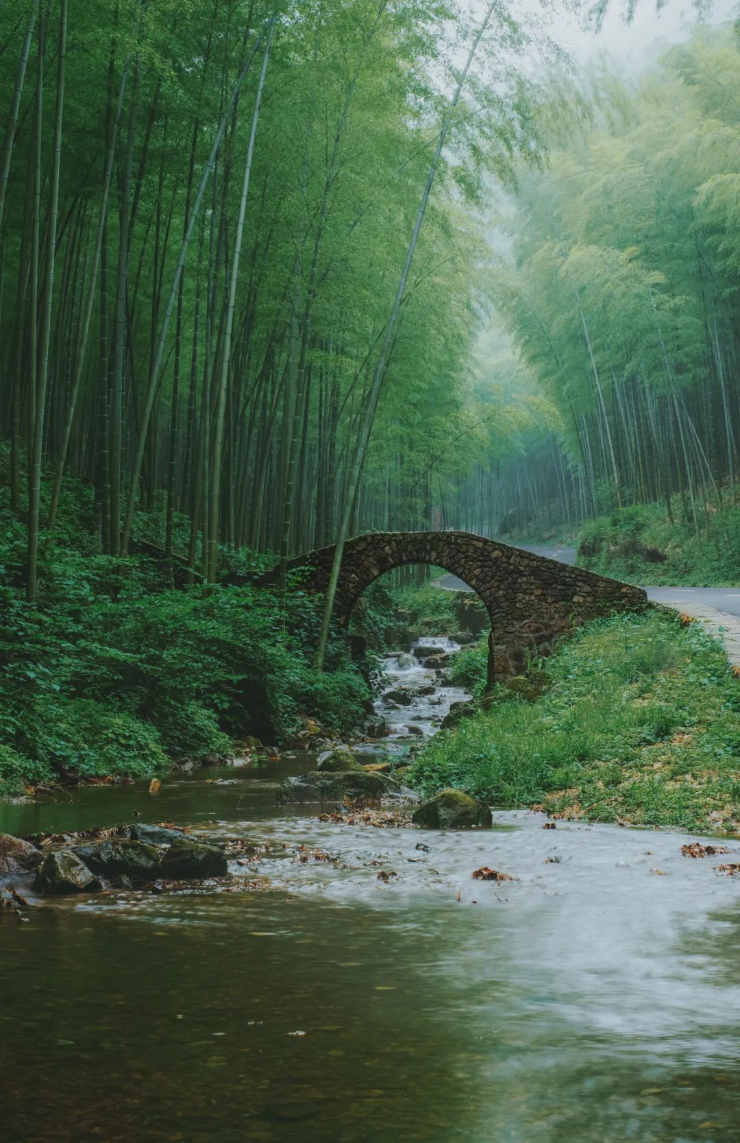 撩人心房人置身其中恍若在如梦如幻的世外桃源来源/宜兴竹海风景区