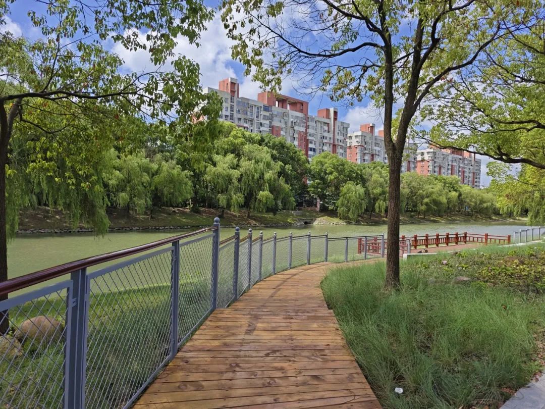 如今的春申塘绿道如今,莘庄水系资源丰富,拥有着淀浦河,春申塘,横沥港