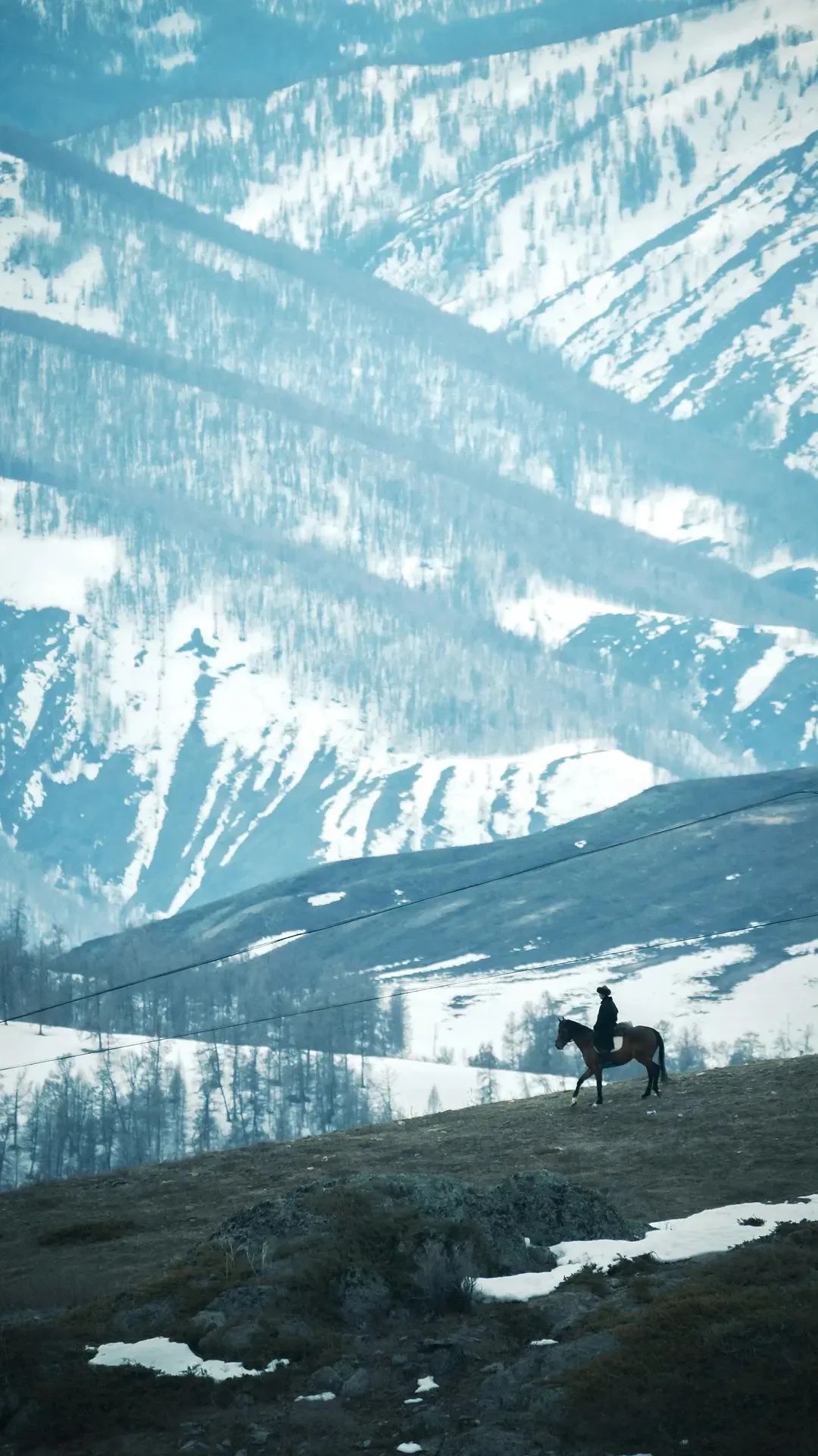 拿下年度高分,阿勒泰封神,它击中了什么人?