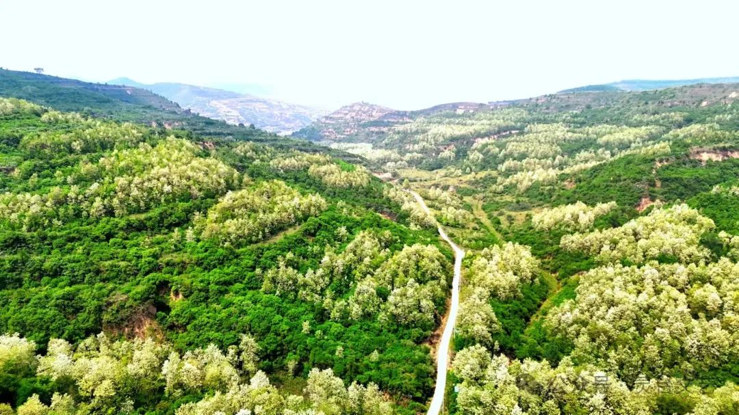 灵台县文联,百里镇人民政府组织开展"溯源商周文明 · 畅游山水百里"