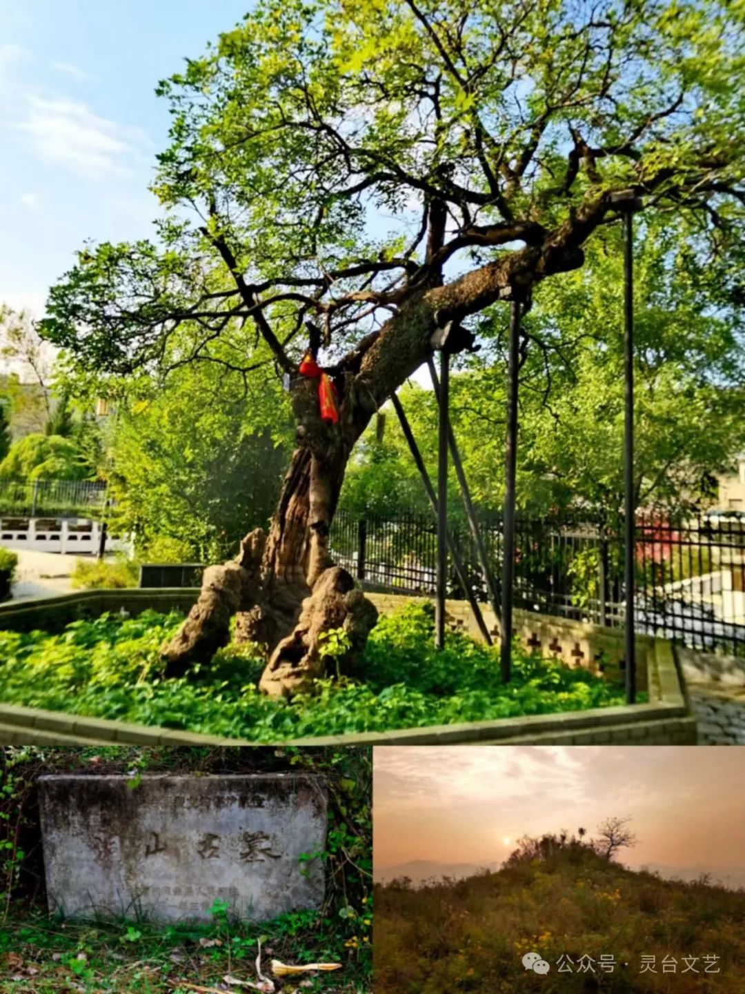 灵台县文联,百里镇人民政府组织开展"溯源商周文明 · 畅游山水百里"