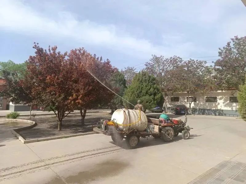 永昌县朱王堡镇:加强林木病虫害防治 守护绿色生态防线