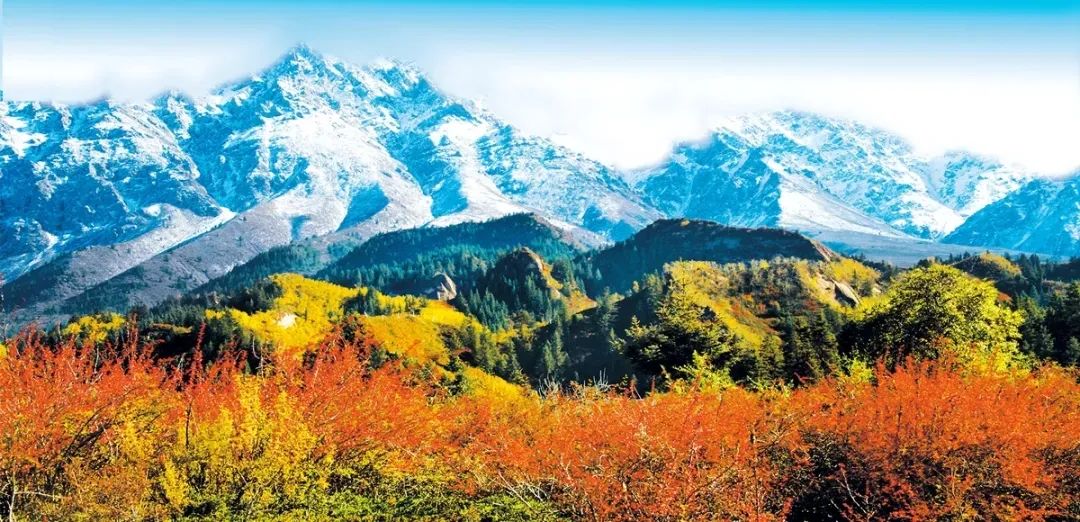 祁连山国家公园里的世外桃源