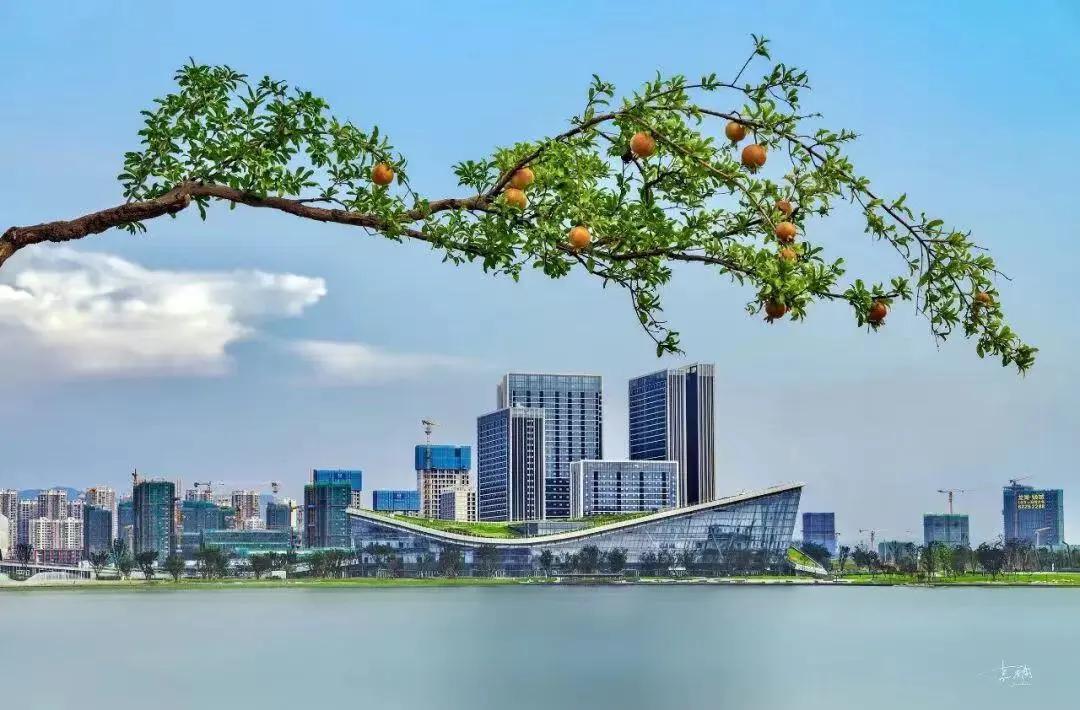 创建天府旅游名县丨龙泉驿擦亮文旅品牌 激活"一池春水"