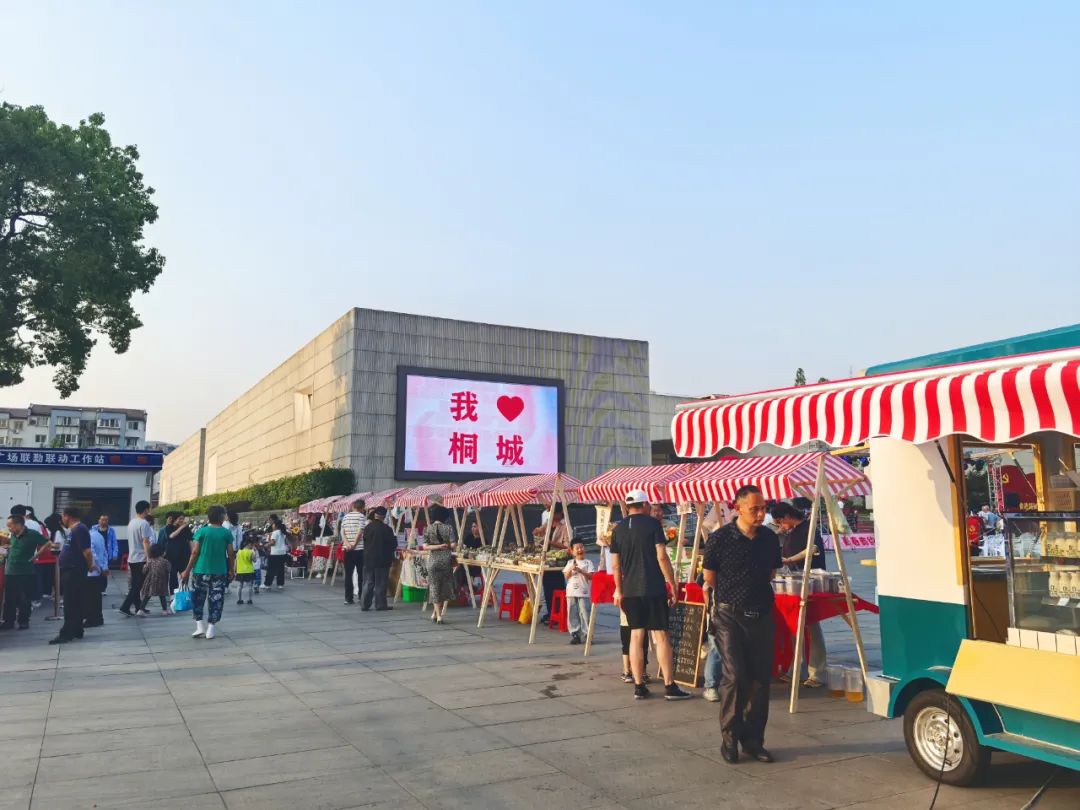 2024桐城市青年人才游园大会隆重举行