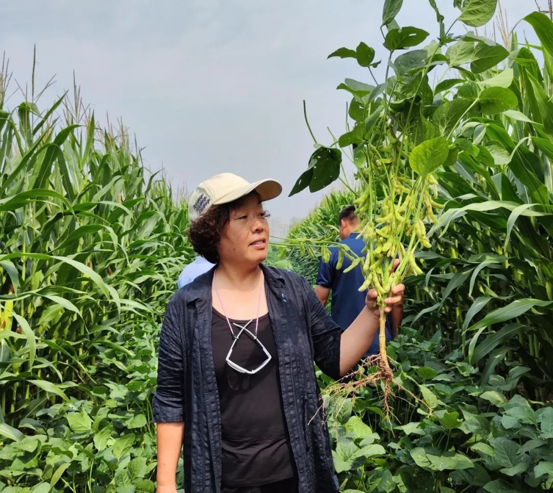 企业家风采|王淑芹:倾心农业创新,做新时代的新农人