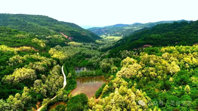 灵台县文联,百里镇人民政府组织开展"溯源商周文明 · 畅游山水百里"