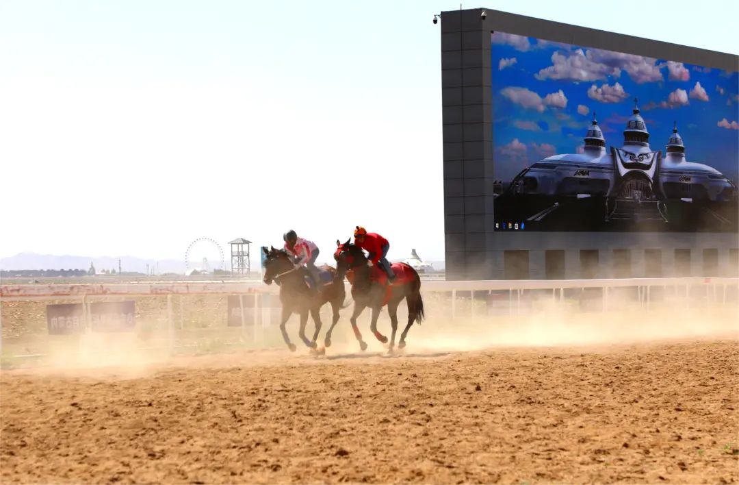 来自全国各地赛马俱乐部名下近200匹精英赛驹已陆续抵达呼和浩特,参加