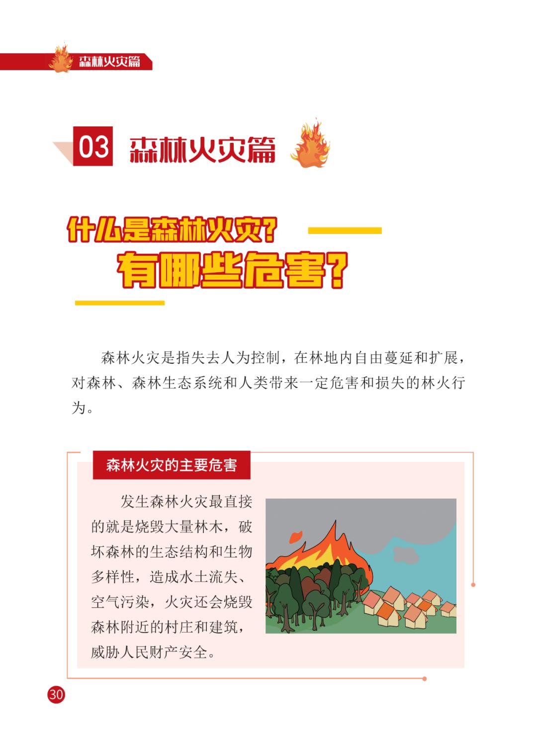 灾害来临怎么办 | 宣传册【三】森林火灾篇