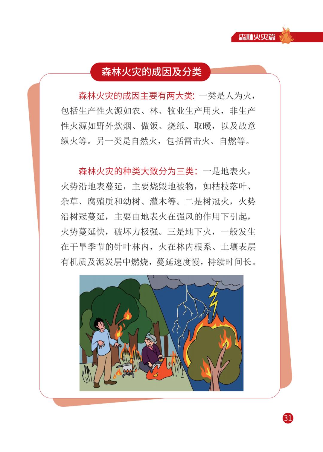 灾害来临怎么办 | 宣传册【三】森林火灾篇