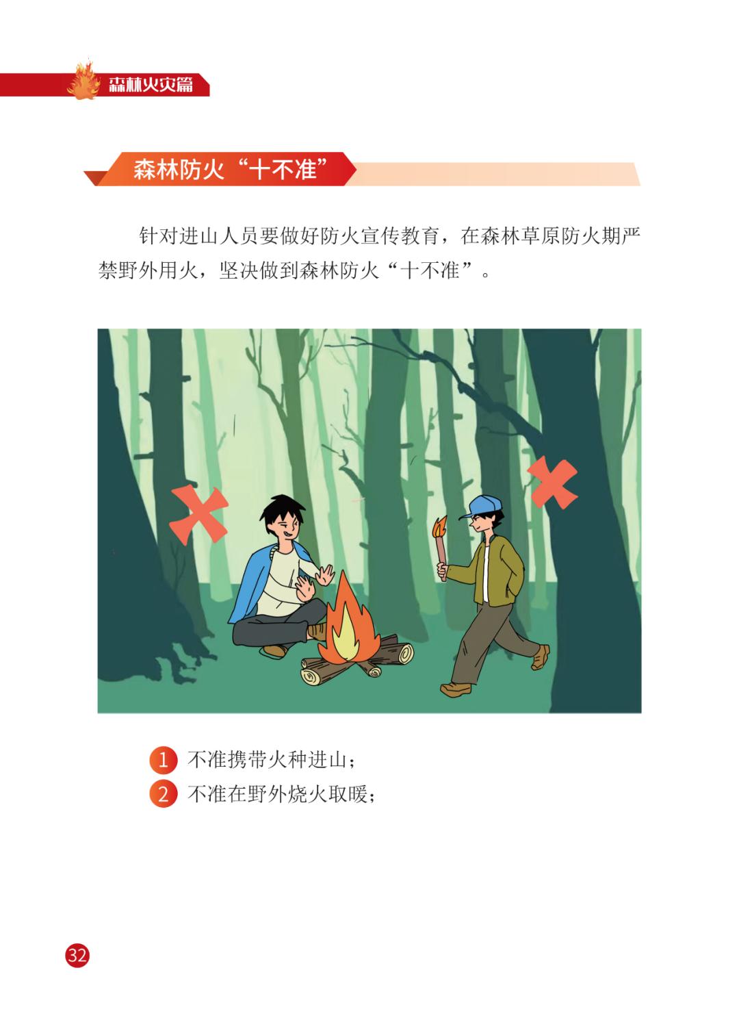 灾害来临怎么办 | 宣传册【三】森林火灾篇