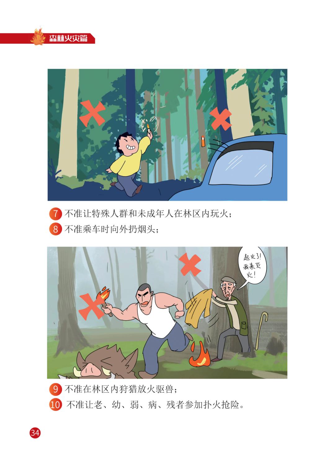 灾害来临怎么办 | 宣传册【三】森林火灾篇