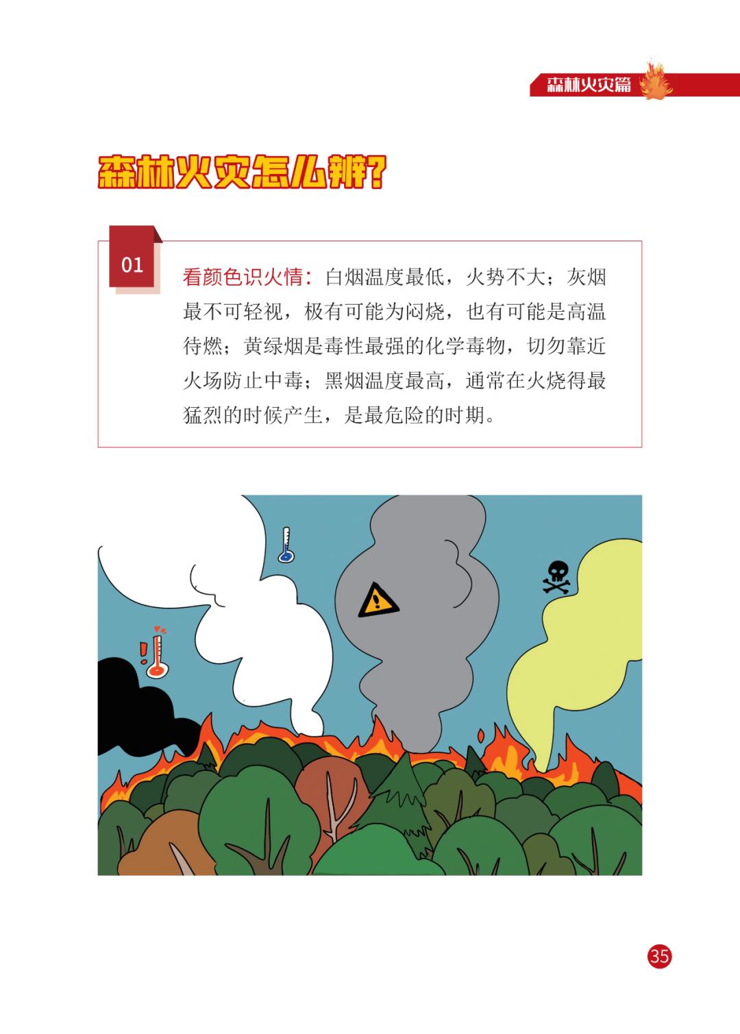 灾害来临怎么办 | 宣传册【三】森林火灾篇