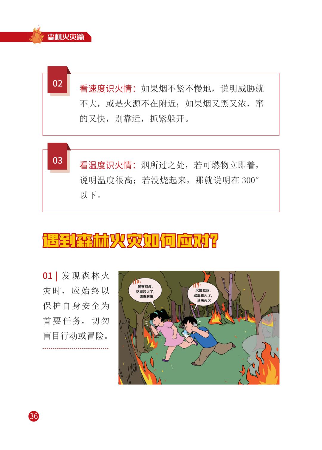 灾害来临怎么办 | 宣传册【三】森林火灾篇