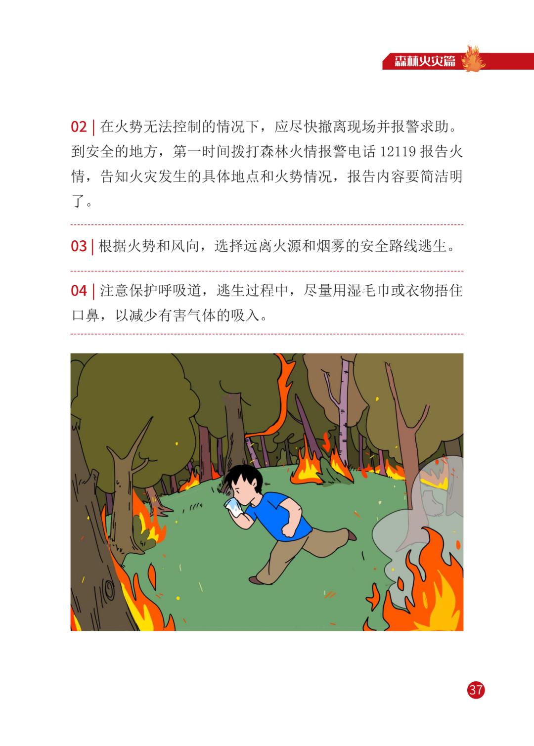 灾害来临怎么办 | 宣传册【三】森林火灾篇