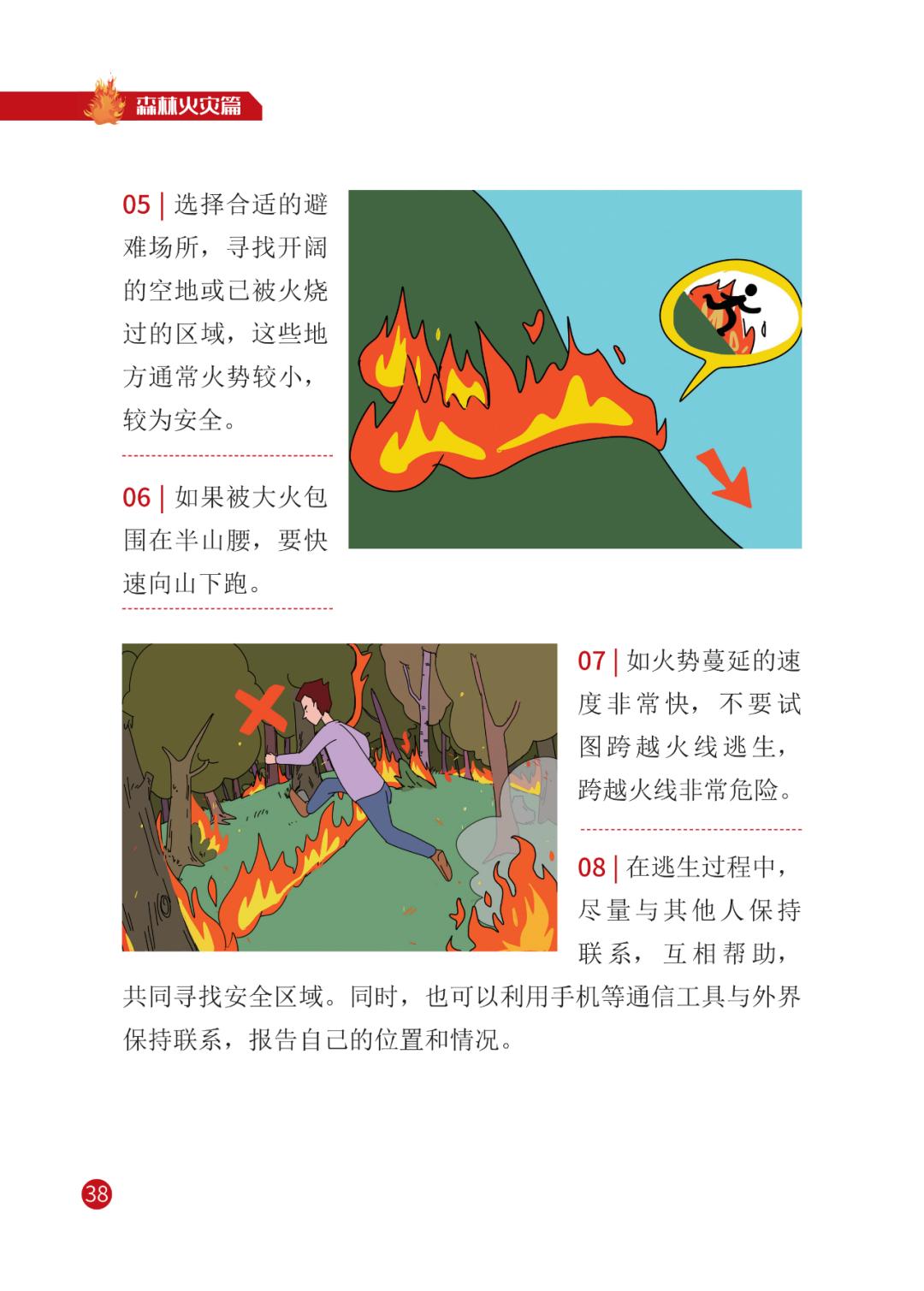 灾害来临怎么办 | 宣传册【三】森林火灾篇