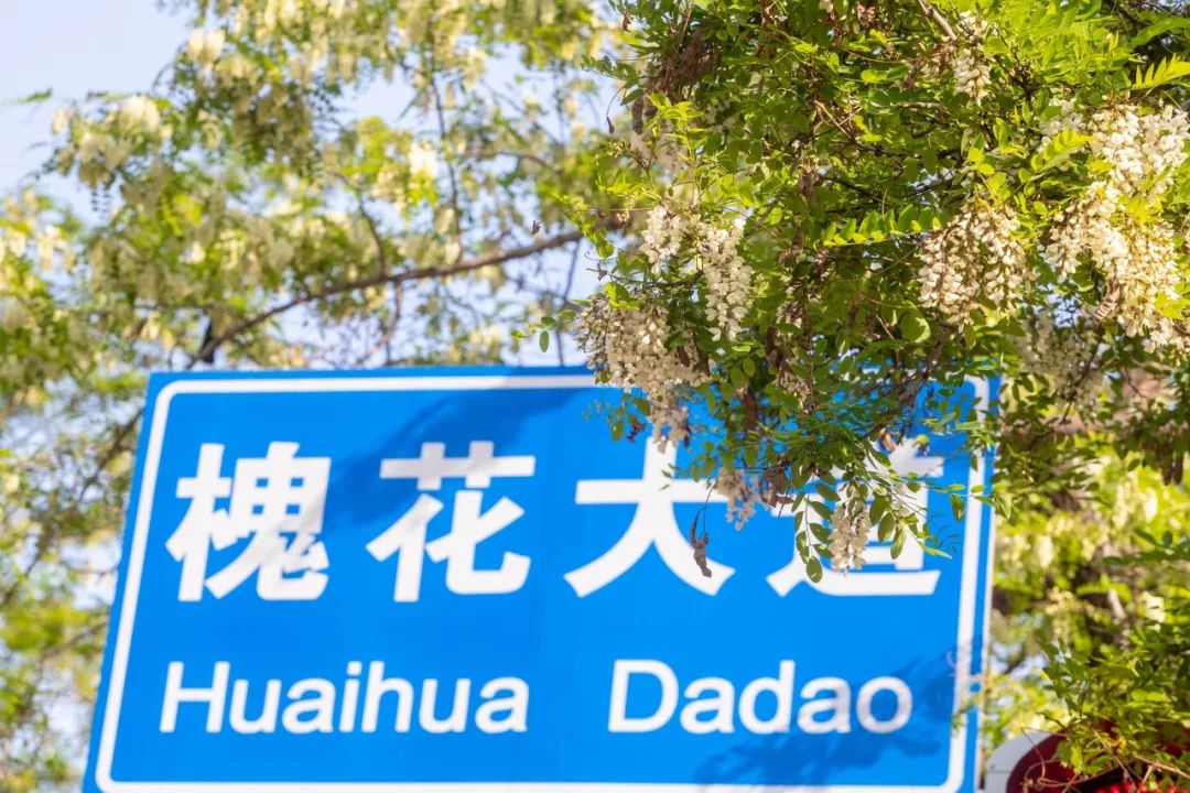 莫奈花园,大连也有