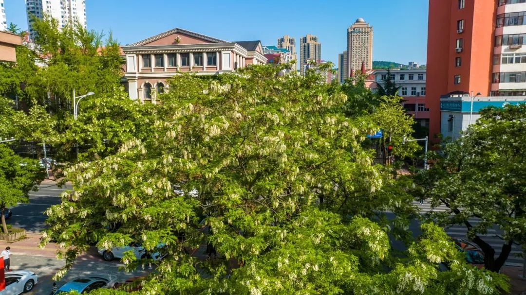 莫奈花园,大连也有