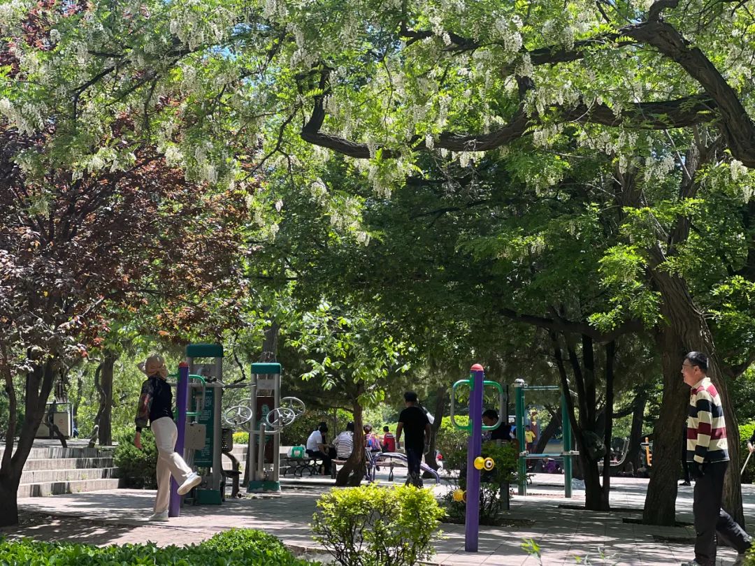 莫奈花园,大连也有