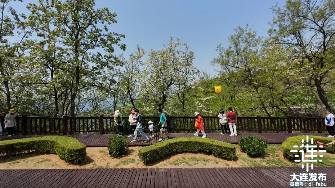 莫奈花园,大连也有